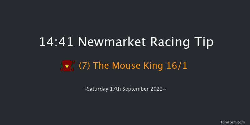 Newmarket 14:41 Handicap (Class 4) 7f Sat 27th Aug 2022