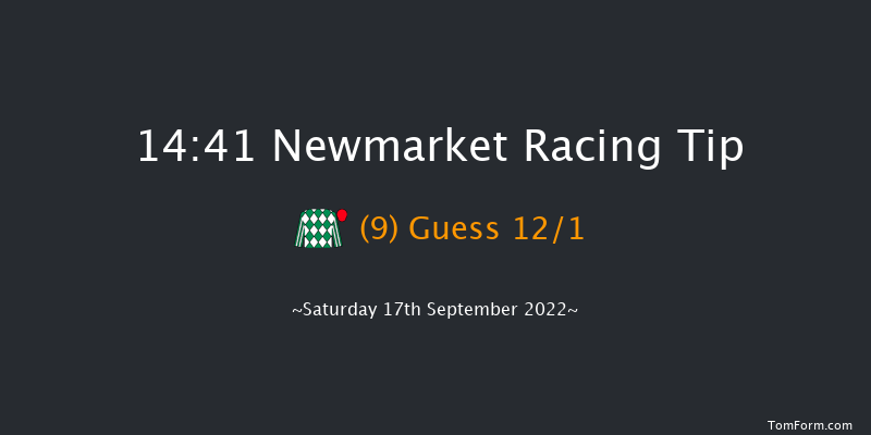 Newmarket 14:41 Handicap (Class 4) 7f Sat 27th Aug 2022