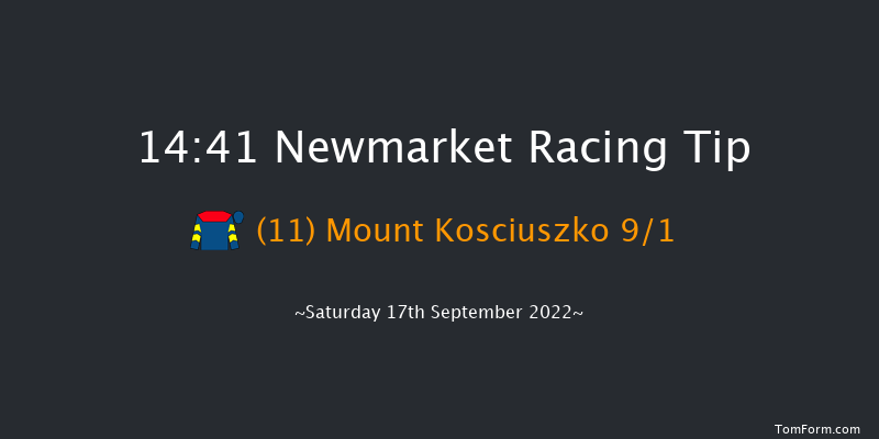 Newmarket 14:41 Handicap (Class 4) 7f Sat 27th Aug 2022