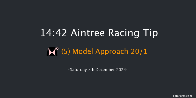 Aintree  14:42 Conditions Hurdle (Class 1) 17f Sat 9th Nov 2024