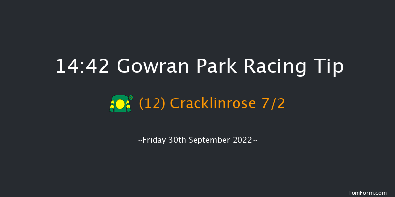 Gowran Park 14:42 Handicap Hurdle 16f Sat 17th Sep 2022