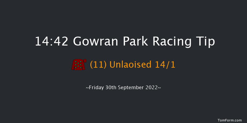 Gowran Park 14:42 Handicap Hurdle 16f Sat 17th Sep 2022