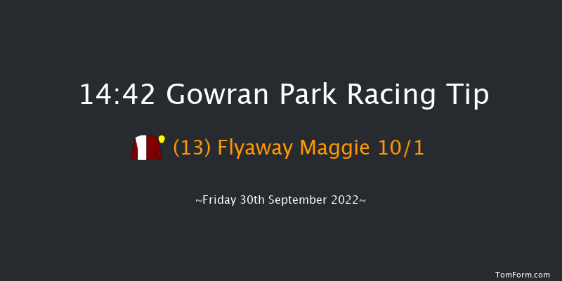 Gowran Park 14:42 Handicap Hurdle 16f Sat 17th Sep 2022