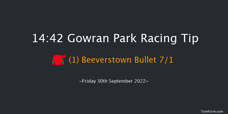 Gowran Park 14:42 Handicap Hurdle 16f Sat 17th Sep 2022