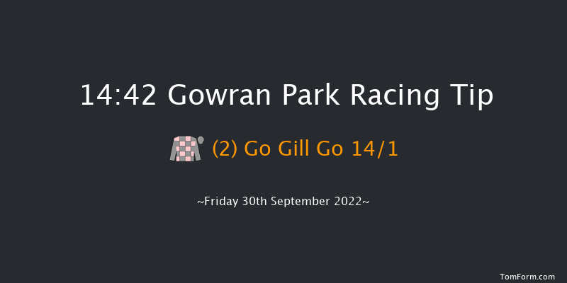 Gowran Park 14:42 Handicap Hurdle 16f Sat 17th Sep 2022