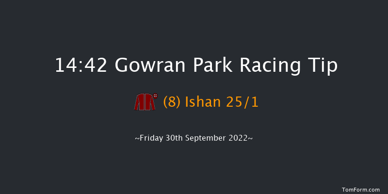 Gowran Park 14:42 Handicap Hurdle 16f Sat 17th Sep 2022