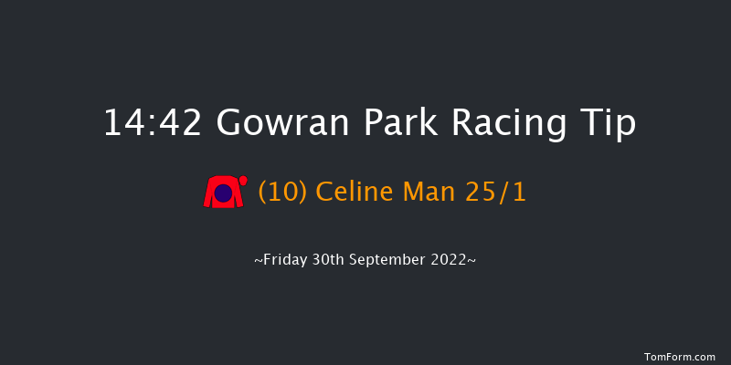 Gowran Park 14:42 Handicap Hurdle 16f Sat 17th Sep 2022