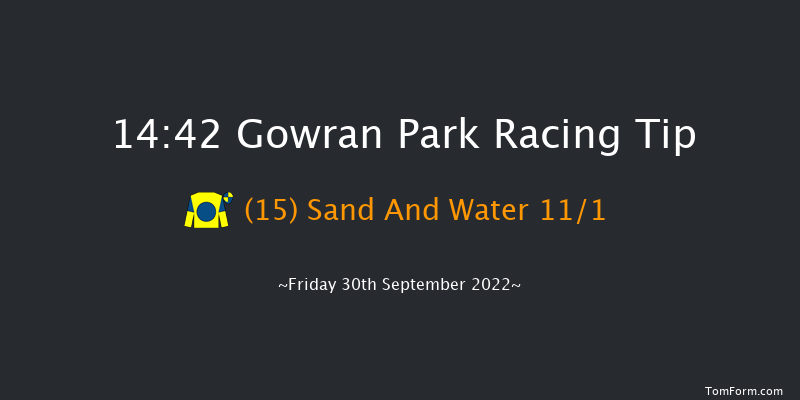 Gowran Park 14:42 Handicap Hurdle 16f Sat 17th Sep 2022