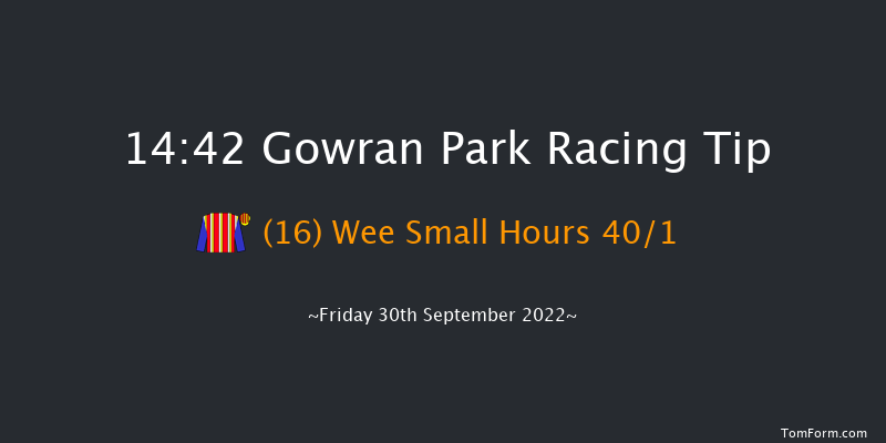 Gowran Park 14:42 Handicap Hurdle 16f Sat 17th Sep 2022