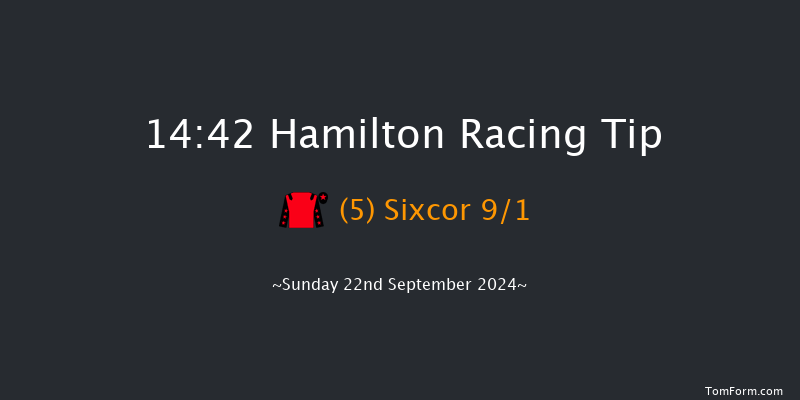 Hamilton  14:42 Handicap (Class 6) 5f Wed 4th Sep 2024