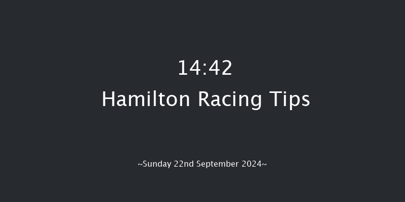 Hamilton  14:42 Handicap (Class 6) 5f Wed 4th Sep 2024