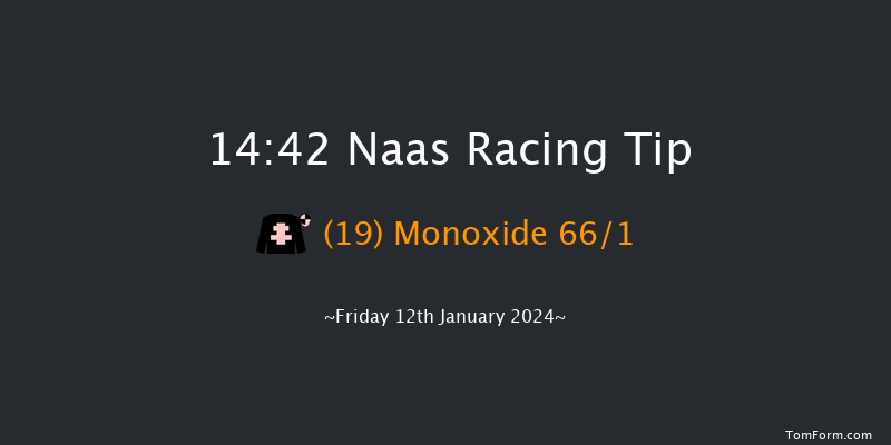 Naas 14:42 Handicap Hurdle 16f Sun 7th Jan 2024