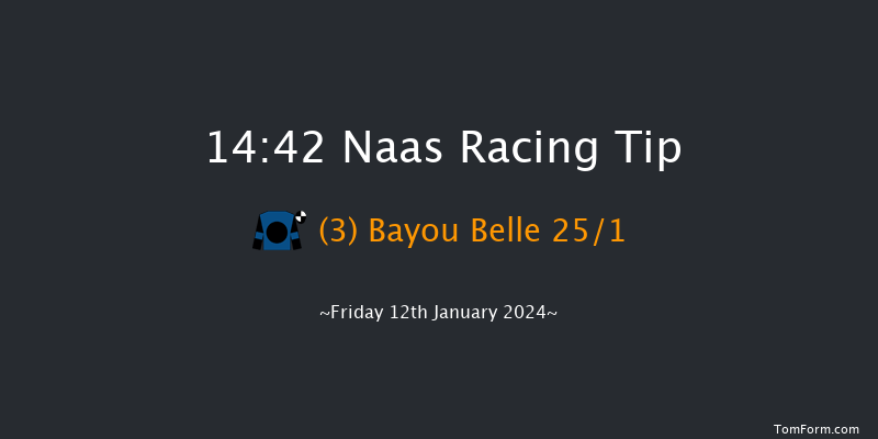 Naas 14:42 Handicap Hurdle 16f Sun 7th Jan 2024