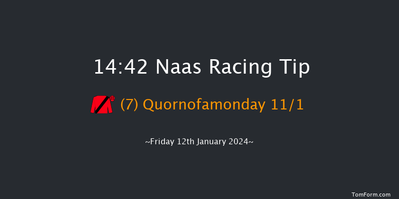 Naas 14:42 Handicap Hurdle 16f Sun 7th Jan 2024