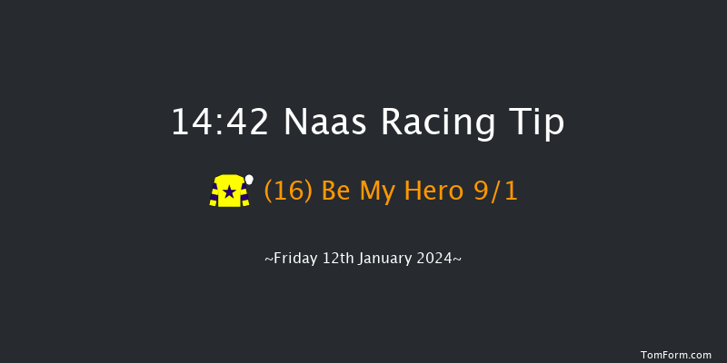 Naas 14:42 Handicap Hurdle 16f Sun 7th Jan 2024