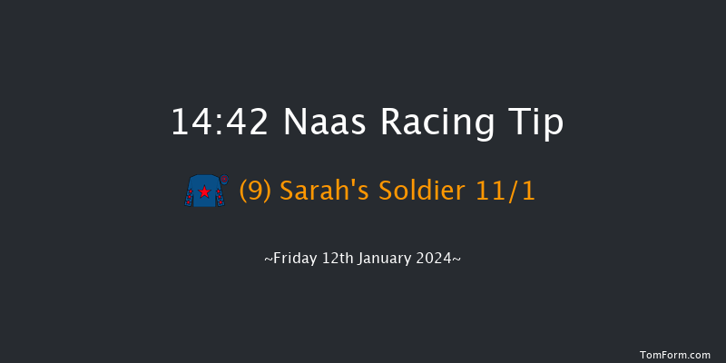 Naas 14:42 Handicap Hurdle 16f Sun 7th Jan 2024