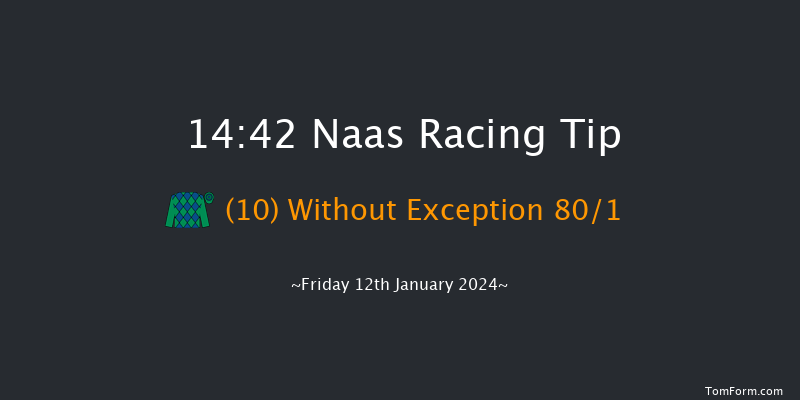 Naas 14:42 Handicap Hurdle 16f Sun 7th Jan 2024