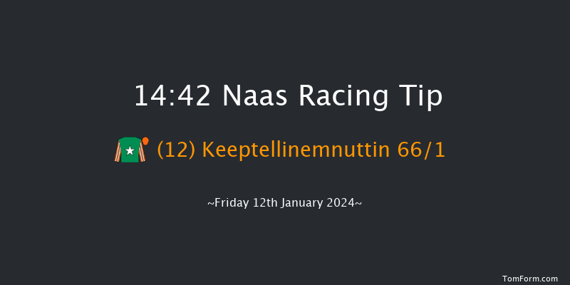 Naas 14:42 Handicap Hurdle 16f Sun 7th Jan 2024