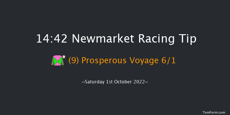 Newmarket 14:42 Group 1 (Class 1) 8f Sat 24th Sep 2022