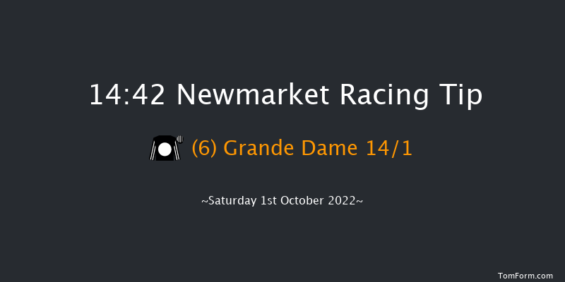 Newmarket 14:42 Group 1 (Class 1) 8f Sat 24th Sep 2022