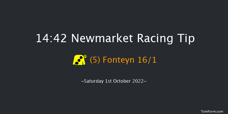 Newmarket 14:42 Group 1 (Class 1) 8f Sat 24th Sep 2022