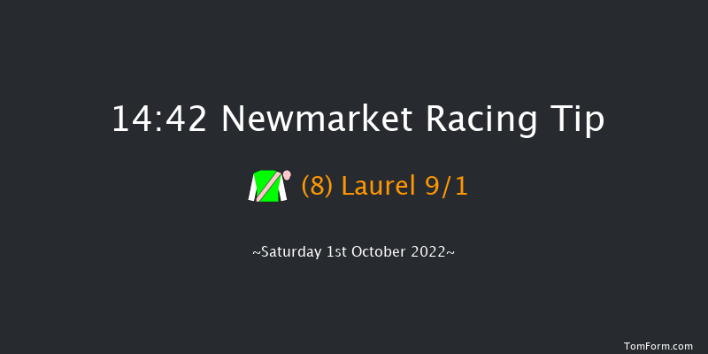 Newmarket 14:42 Group 1 (Class 1) 8f Sat 24th Sep 2022