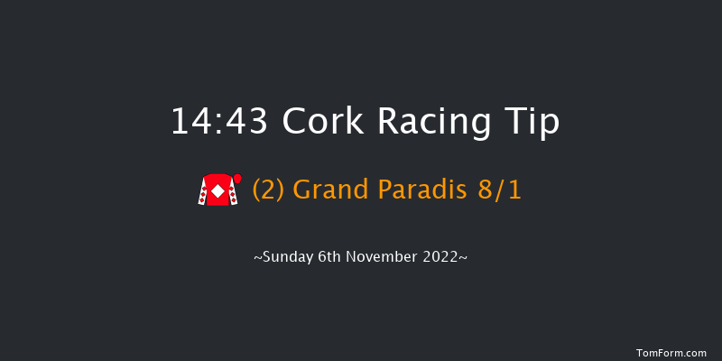 Cork 14:43 Novices Chase 20f Sun 16th Oct 2022