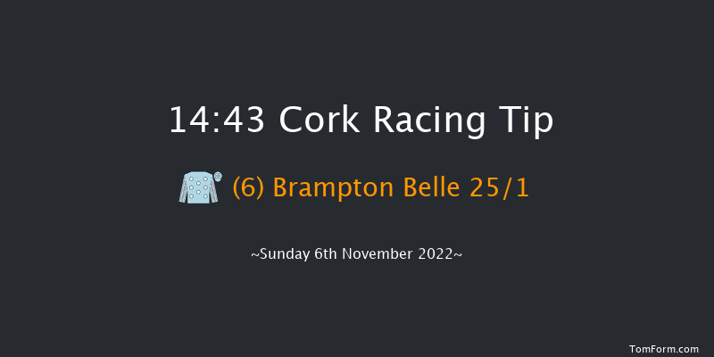 Cork 14:43 Novices Chase 20f Sun 16th Oct 2022