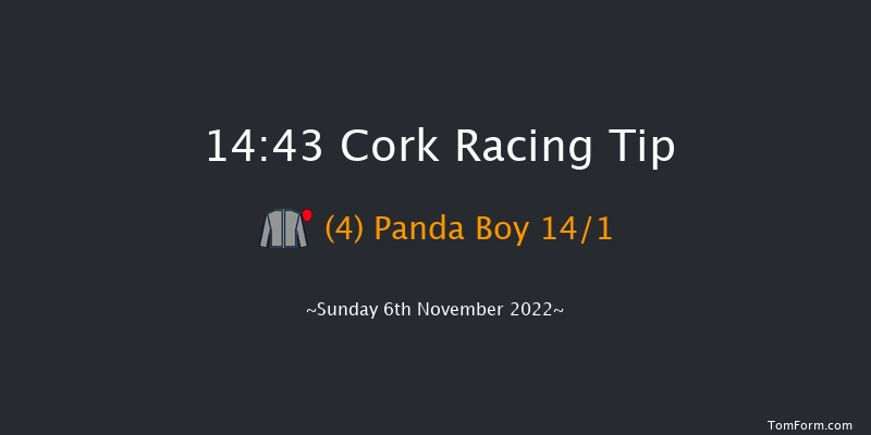 Cork 14:43 Novices Chase 20f Sun 16th Oct 2022