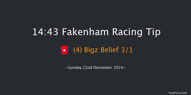 Fakenham  14:43 Handicap Hurdle (Class 4) 16f Tue 19th Nov 2024