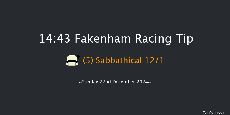 Fakenham  14:43 Handicap Hurdle (Class 4) 16f Tue 19th Nov 2024