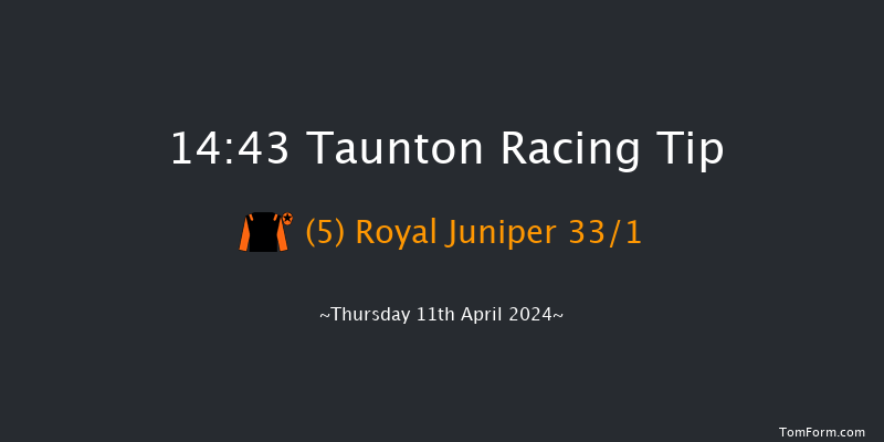 Taunton  14:43 Handicap Hurdle (Class 5)
16f Tue 26th Mar 2024