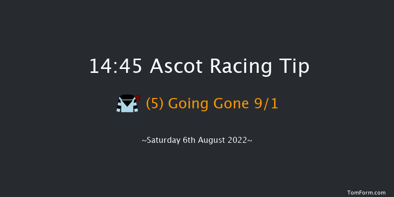 Ascot 14:45 Handicap (Class 2) 16f Sat 23rd Jul 2022