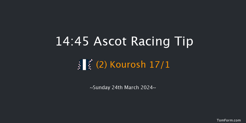 Ascot  14:45 Handicap Hurdle (Class 2) 16f Sat 17th Feb 2024