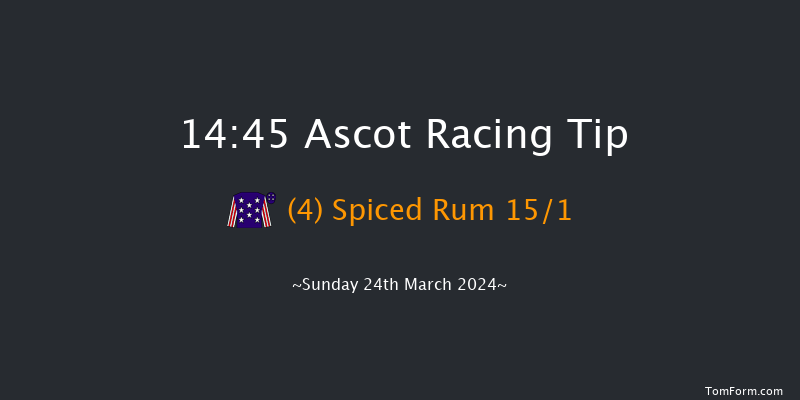 Ascot  14:45 Handicap Hurdle (Class 2) 16f Sat 17th Feb 2024