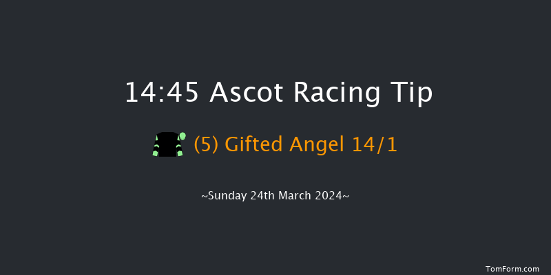 Ascot  14:45 Handicap Hurdle (Class 2) 16f Sat 17th Feb 2024