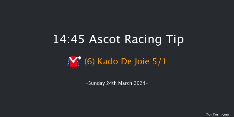 Ascot  14:45 Handicap Hurdle (Class 2) 16f Sat 17th Feb 2024