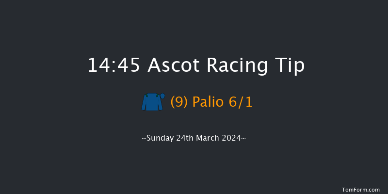 Ascot  14:45 Handicap Hurdle (Class 2) 16f Sat 17th Feb 2024