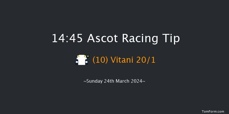 Ascot  14:45 Handicap Hurdle (Class 2) 16f Sat 17th Feb 2024