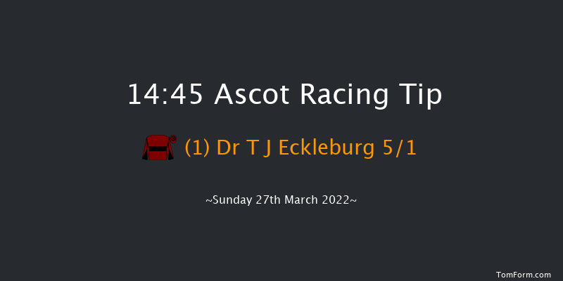 Ascot 14:45 Handicap Hurdle (Class 2) 16f Sat 19th Feb 2022