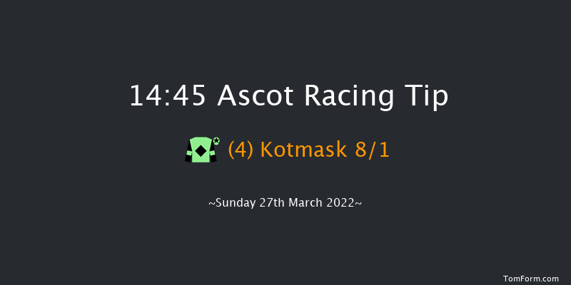 Ascot 14:45 Handicap Hurdle (Class 2) 16f Sat 19th Feb 2022