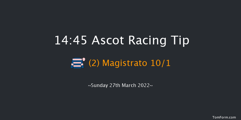 Ascot 14:45 Handicap Hurdle (Class 2) 16f Sat 19th Feb 2022