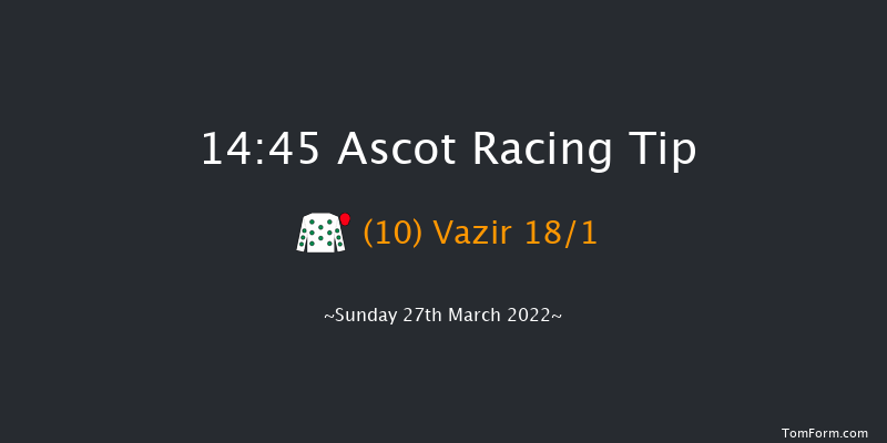 Ascot 14:45 Handicap Hurdle (Class 2) 16f Sat 19th Feb 2022