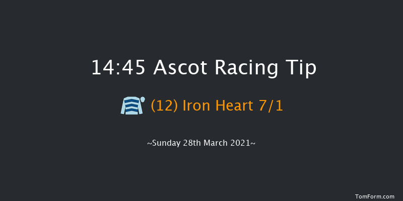 Betfred Juvenile Handicap Hurdle (GBB Race) Ascot 14:45 Handicap Hurdle (Class 2) 16f Sat 20th Feb 2021