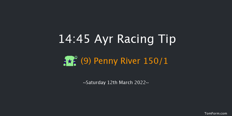 Ayr 14:45 Maiden Hurdle (Class 4) 20f Tue 15th Feb 2022