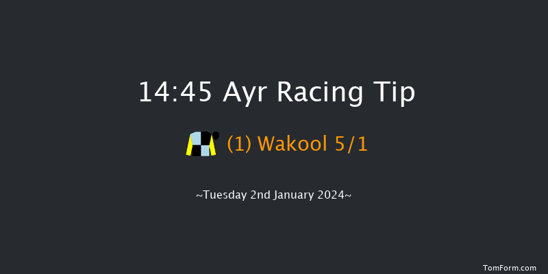 Ayr 14:45 Handicap Hurdle (Class 2) 24f Wed 20th Dec 2023