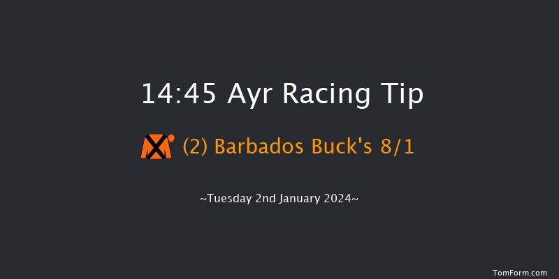 Ayr 14:45 Handicap Hurdle (Class 2) 24f Wed 20th Dec 2023