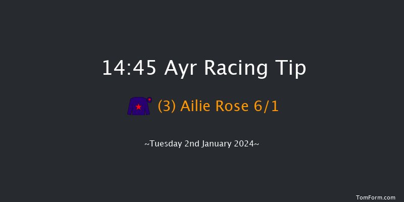 Ayr 14:45 Handicap Hurdle (Class 2) 24f Wed 20th Dec 2023