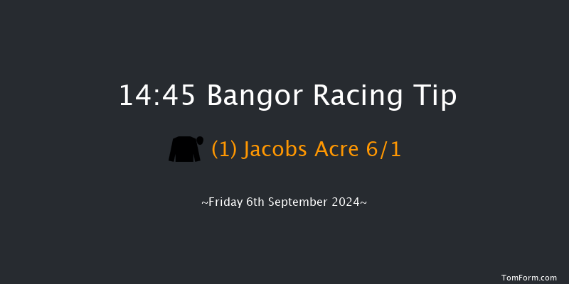 Bangor-on-dee  14:45 Handicap Hurdle (Class 5) 20f Fri 28th Jun 2024