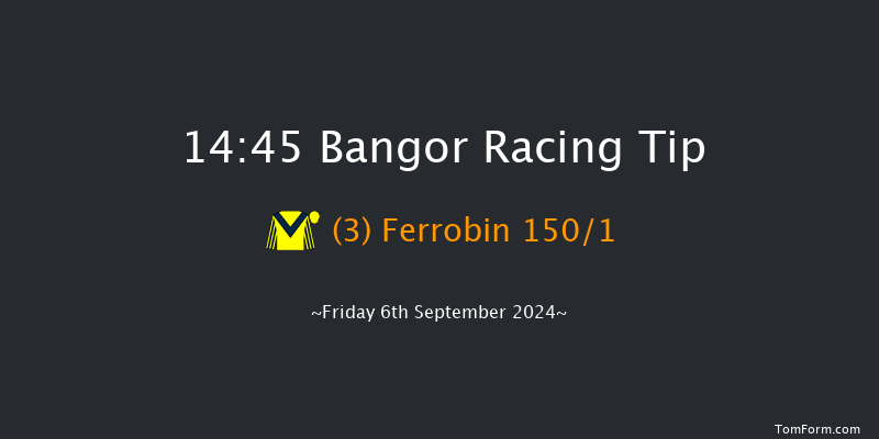 Bangor-on-dee  14:45 Handicap Hurdle (Class 5) 20f Fri 28th Jun 2024